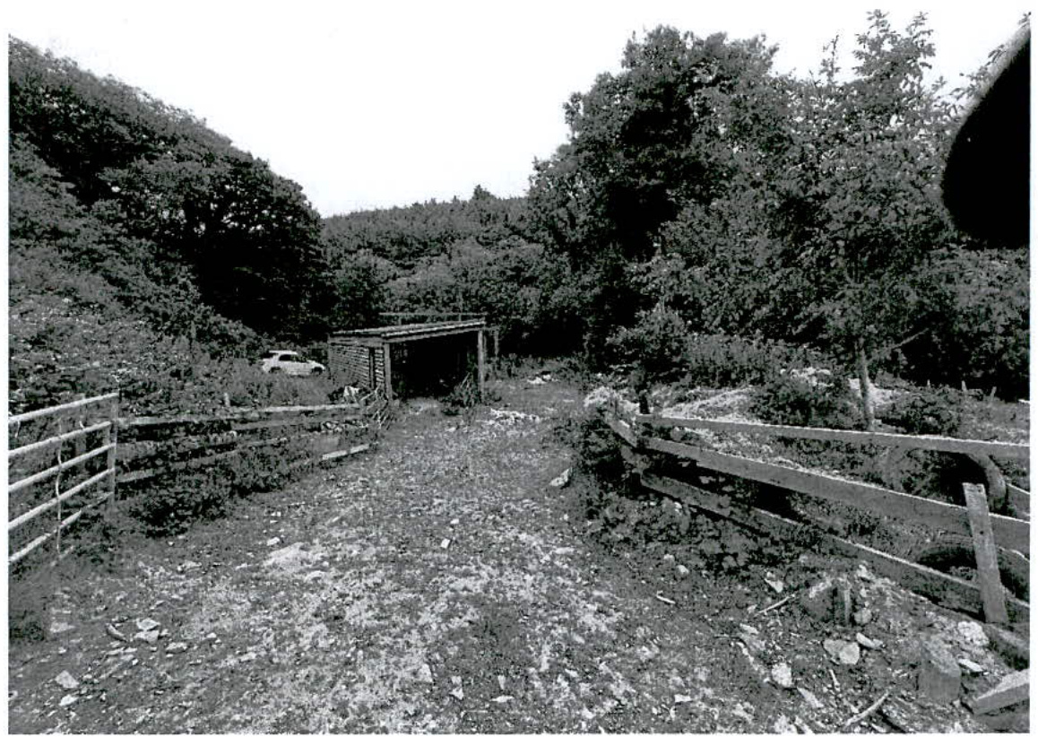 A black and white photograph showing a rural access track leading to a small agricultural shed or barn surrounded by trees and fencing.