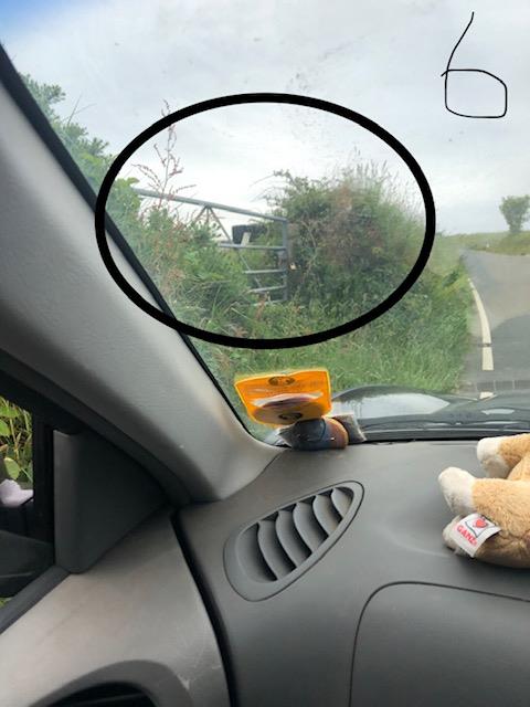 A photograph taken from inside a vehicle looking out at a rural roadside with overgrown vegetation and a metal gate circled in black marker.
