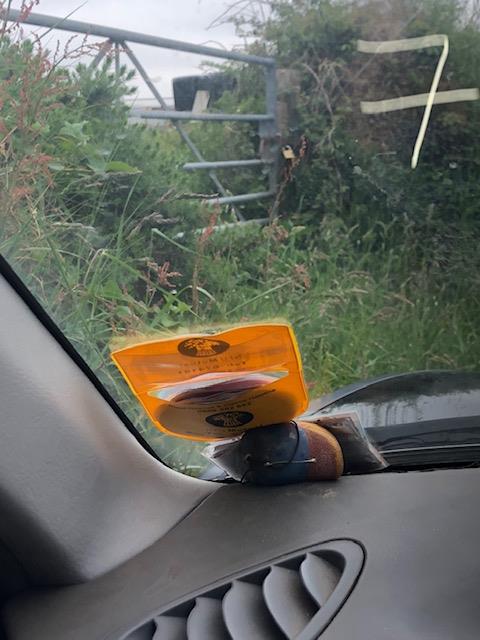 A view from inside a vehicle looking out through the windshield at a metal field gate and overgrown vegetation.