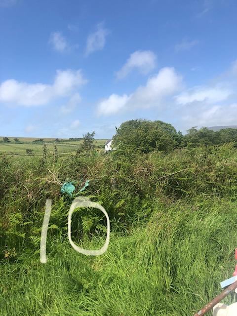 A photograph showing a grassy rural field with overgrown vegetation in the foreground and a white building visible in the distance under a blue sky.