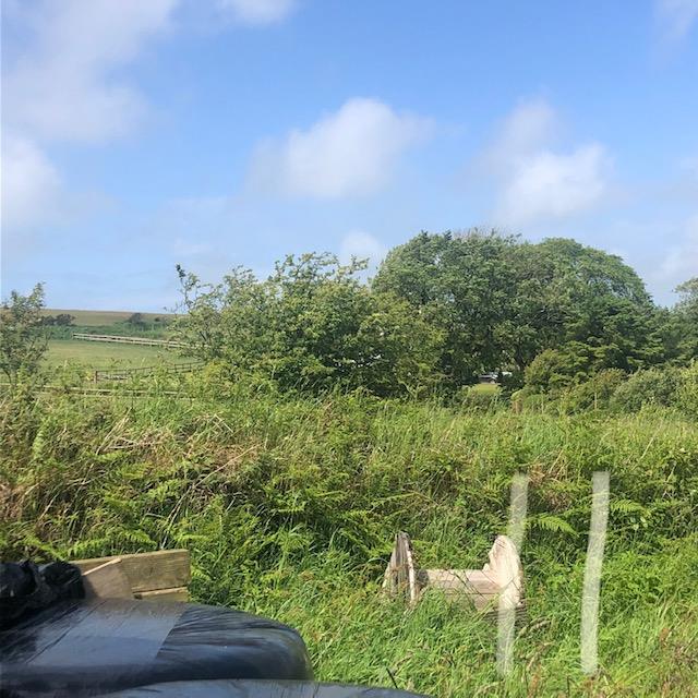 A photograph showing a grassy rural field with overgrown vegetation, trees in the background, and fence posts in the foreground.