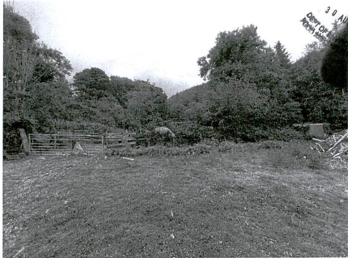 A black and white photograph showing a grassy field with a metal gate on the left and dense trees in the background.