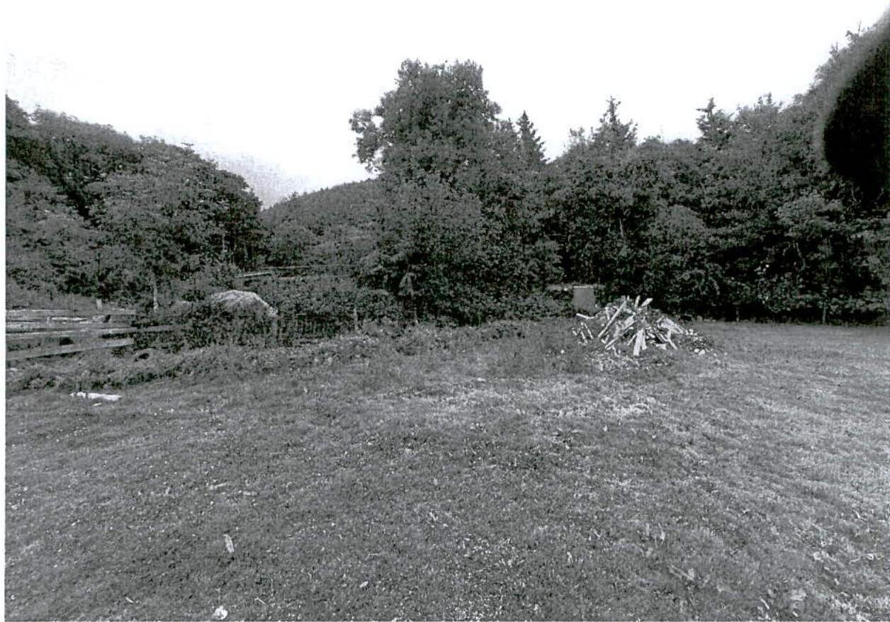 A black and white photograph showing a grassy field with a wooden fence on the left and a pile of wood, backed by dense trees and a hillside.