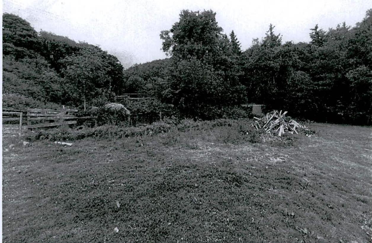 A black and white photograph showing a grassy field or paddock with a wooden fence on the left and a pile of wood on the right, surrounded by dense trees and vegetation.