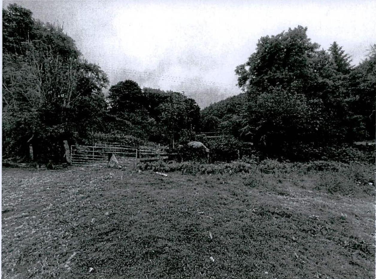 A black and white photograph depicting a rural agricultural site featuring a metal gate, grassy foreground, and dense trees in the background.