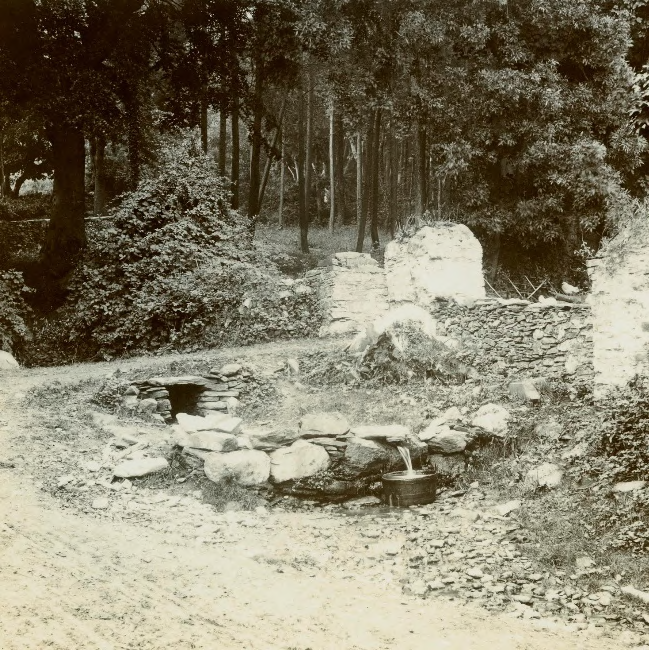 A sepia-toned photograph depicting a rural outdoor scene featuring stone walls, overgrown vegetation, and a wooded background.