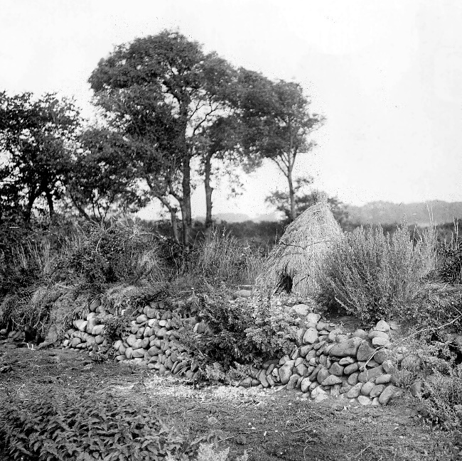 A black and white photograph depicting a rural landscape featuring a dry stone wall in the foreground, dense vegetation, trees, and a thatched structure resembling a haystack.