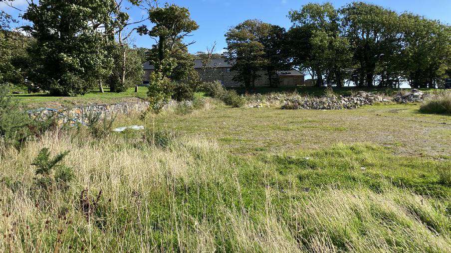 A photograph showing a grassy field with tall vegetation in the foreground and a line of trees with a stone building in the background.