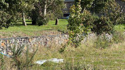 A photograph showing a grassy field with a low stone wall and trees, likely depicting the existing site conditions for the proposed equestrian facilities.