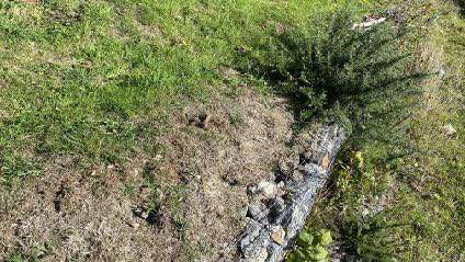 A ground-level photograph showing a grassy field area with a low stone wall and some shrubbery.