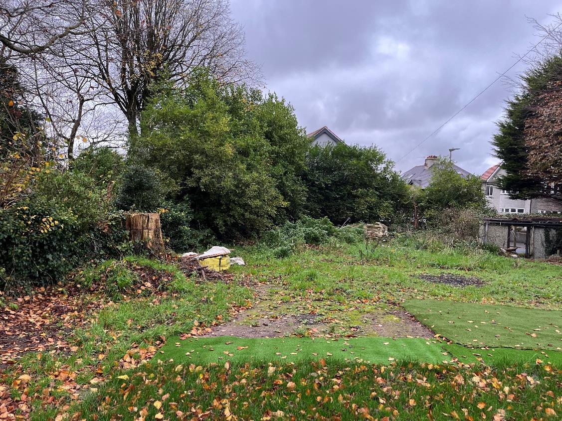 A photograph showing a grassy, overgrown plot of land with trees and neighboring houses in the background.