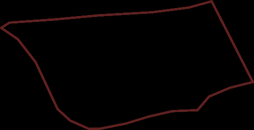 A minimalist graphic showing a red outline of an irregular polygon on a black background, representing a site boundary.