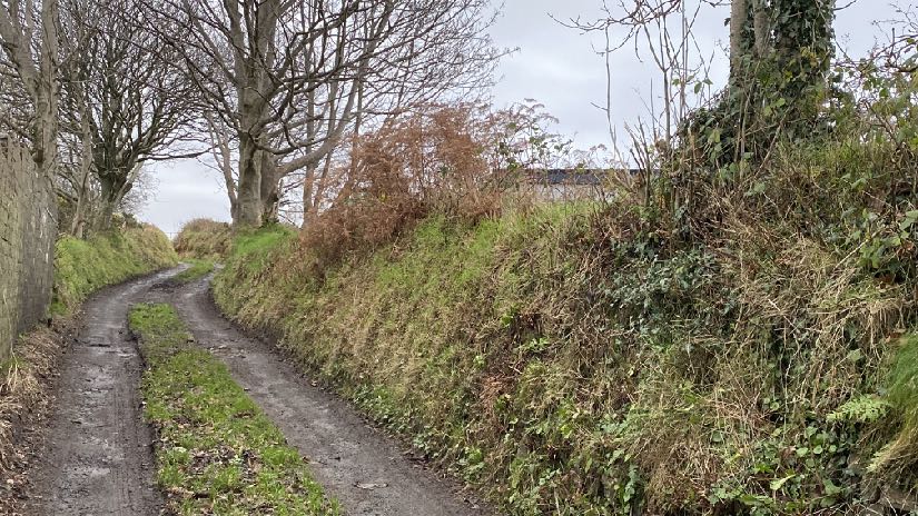 A photograph showing a muddy rural track bordered by a stone wall on the left and a grassy bank with trees on the right.