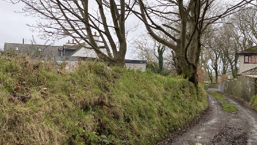 A photograph of a rural site showing a grassy bank with large trees, residential buildings in the background, and a narrow track alongside a stone wall.