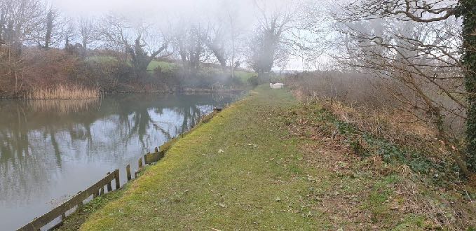 A photograph showing a grassy bank running alongside a body of water, likely the existing lake mentioned in the application, with trees and a wooden fence visible.