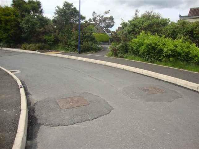 A photograph showing a paved road surface with two manhole covers and concrete curbs, surrounded by green vegetation and trees.