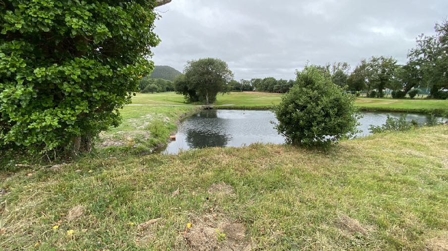 photograph from page 2