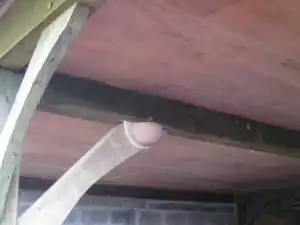 photograph from page 1