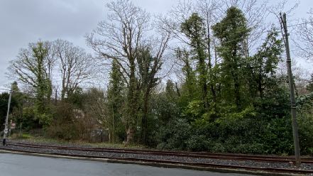 photograph from page 2