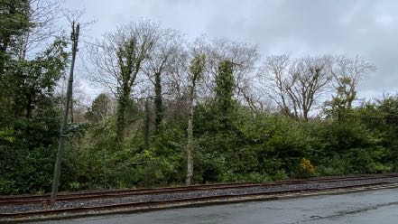 photograph from page 2