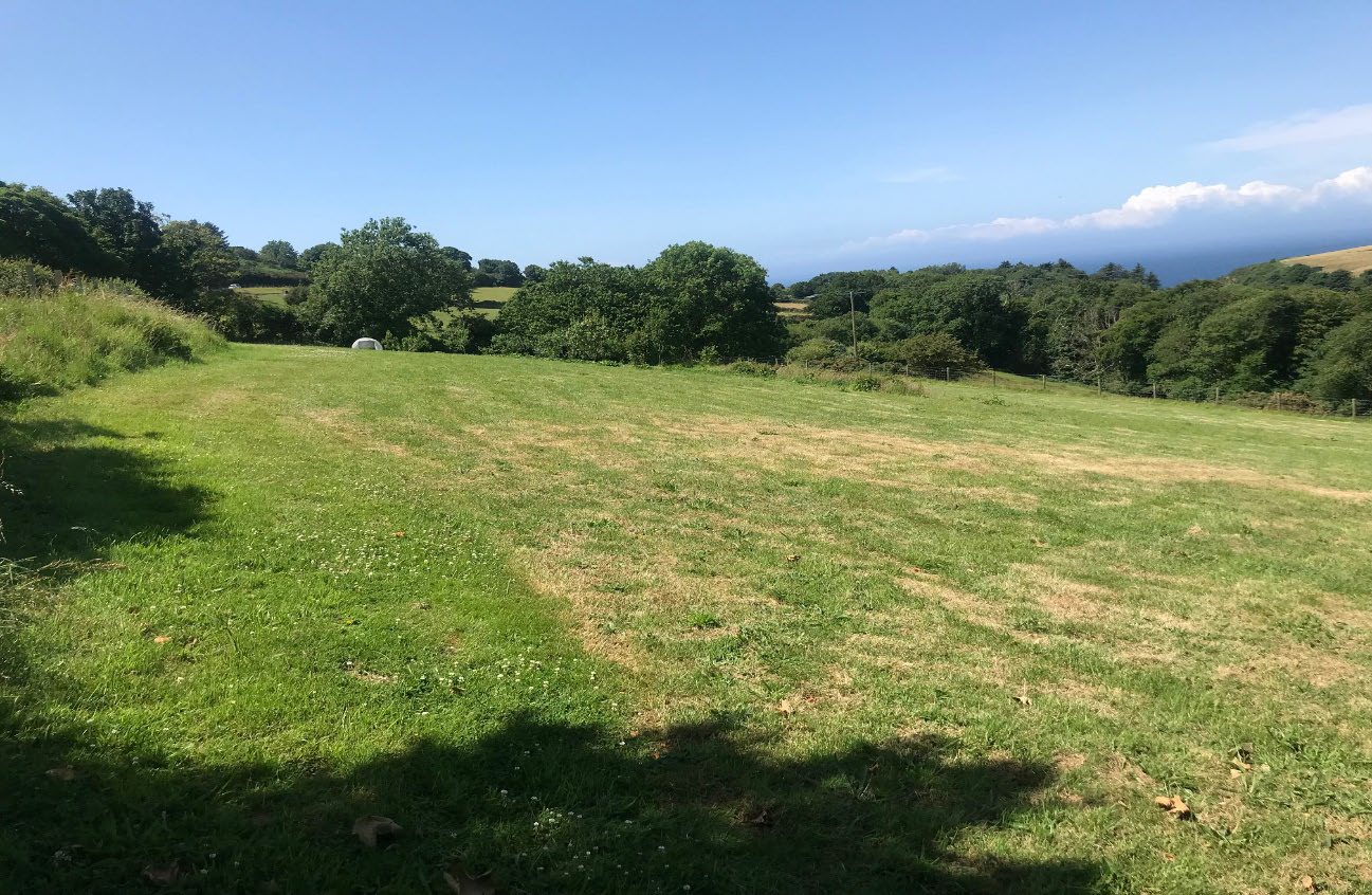 A photograph showing a grassy field or pasture with trees and hedgerows in the background, likely depicting the site of the proposed development.