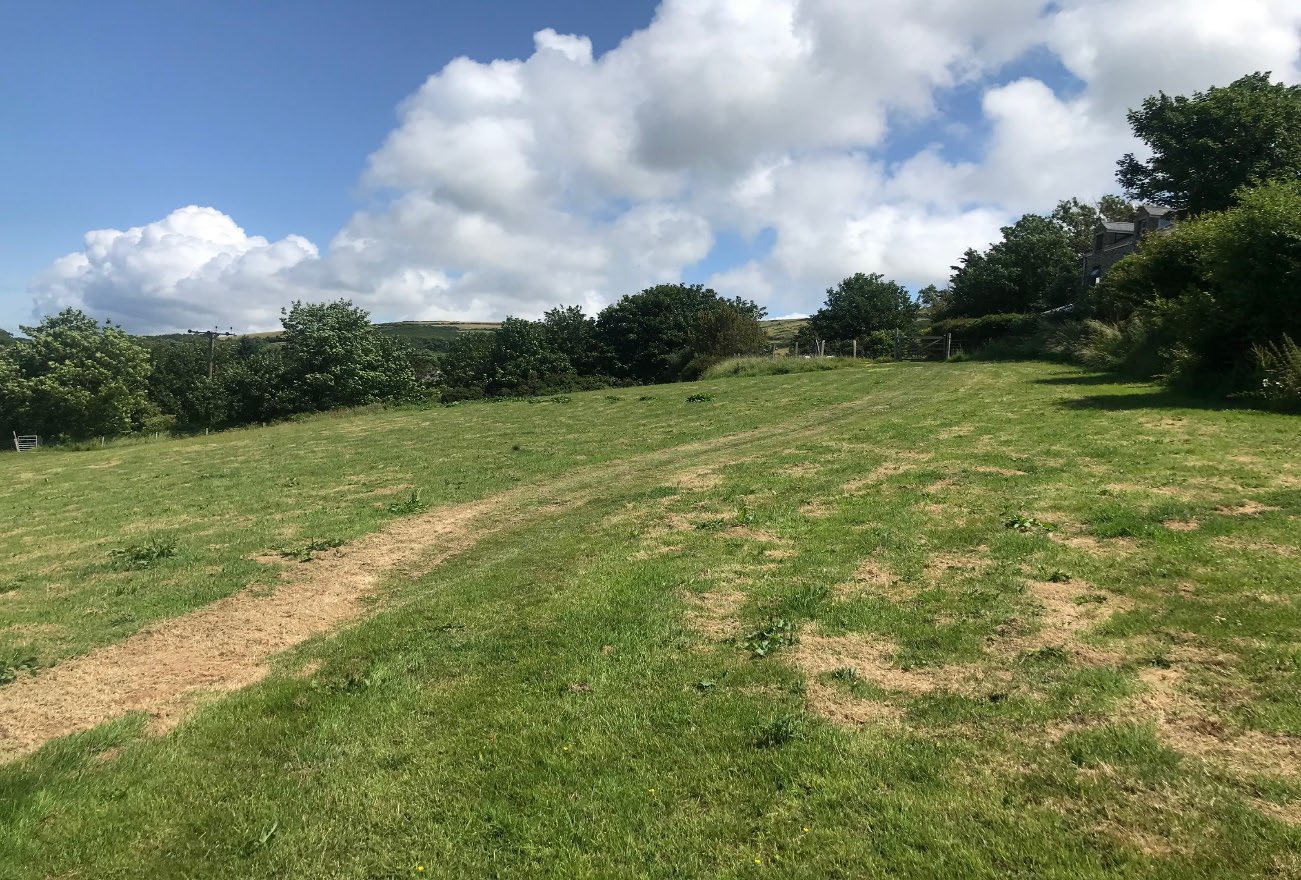 A sunny photograph of a grassy field with trees and hedges in the background, showing the rural site for the proposed development.