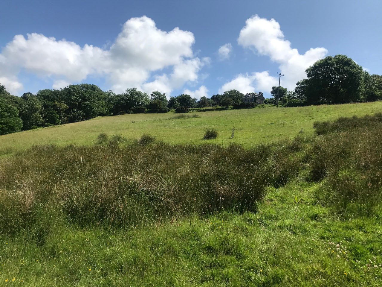 A photograph showing a grassy, sloping field with trees and a house in the distance under a blue sky.