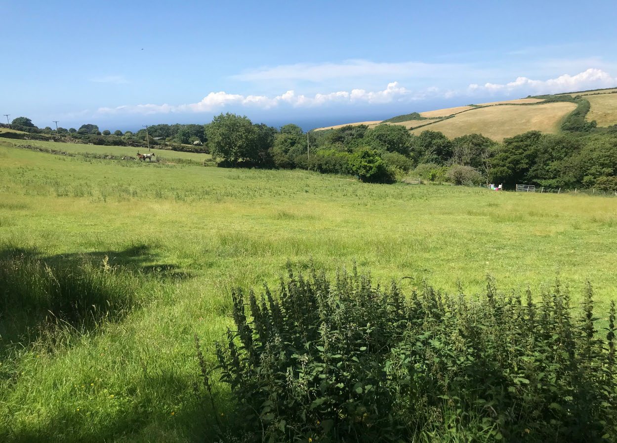 A photograph showing a green rural field with hedgerows and trees, looking towards a coastal landscape with hills in the distance.