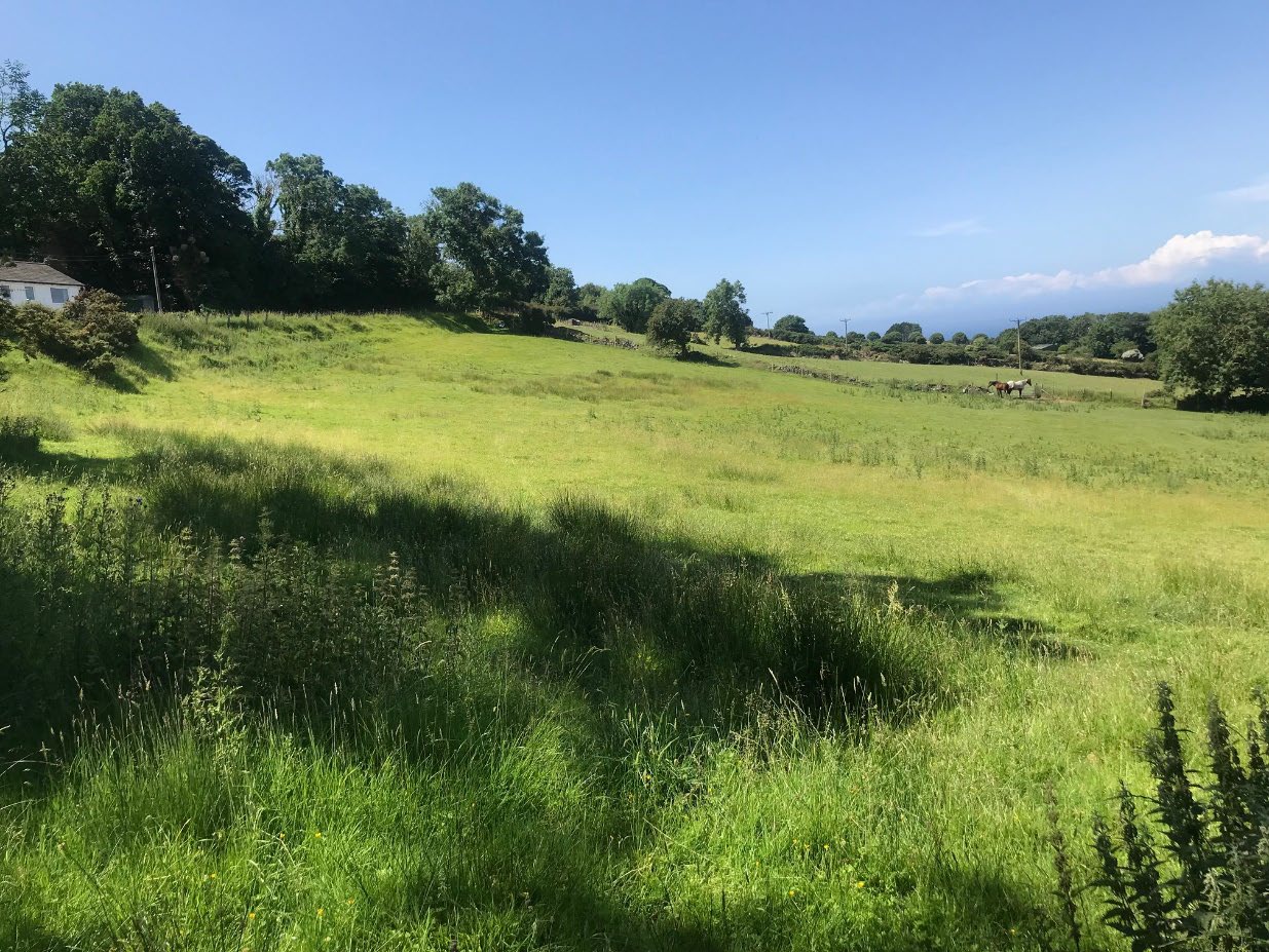 A photograph showing a grassy field with trees and a house in the background, representing the site for the proposed equestrian development.