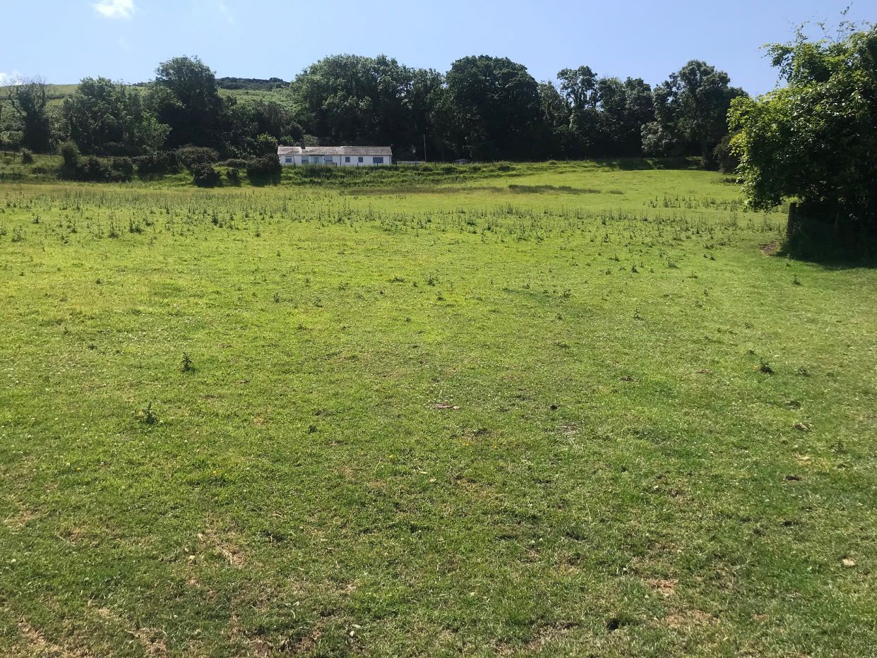 A photograph showing a large grassy field in the foreground with a line of trees and a white building visible in the distance under a blue sky.