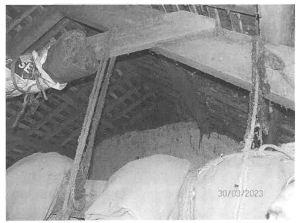 Black and white photograph showing the interior of a roof space with wooden beams and rafters, likely taken during a bat survey.