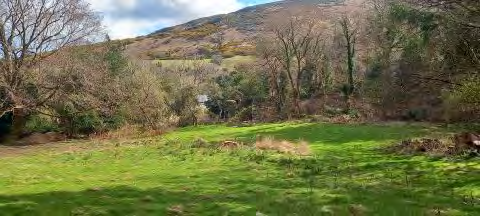 A photograph showing a grassy field with scattered trees and a large hill in the background, depicting the rural setting of the site.
