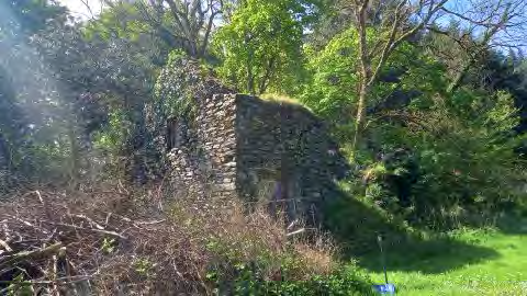 Exterior photograph of an old stone structure, likely the Old Mill, surrounded by dense trees and overgrown vegetation with a blue survey marker visible in the foreground.