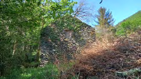 A photograph showing the exterior of an old stone mill building surrounded by trees and overgrown vegetation in a rural setting.