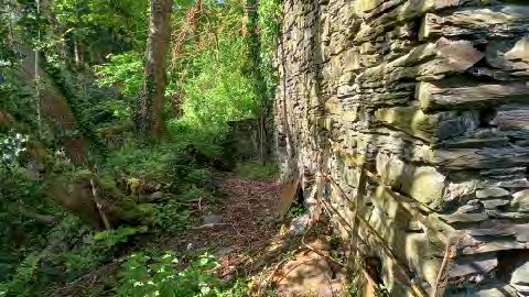 A close-up photograph of a rough stone wall with a wooden fence, set against a backdrop of dense green foliage and trees.