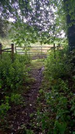 A photograph showing a narrow, overgrown dirt path leading to a wooden post-and-rail gate in a rural setting.