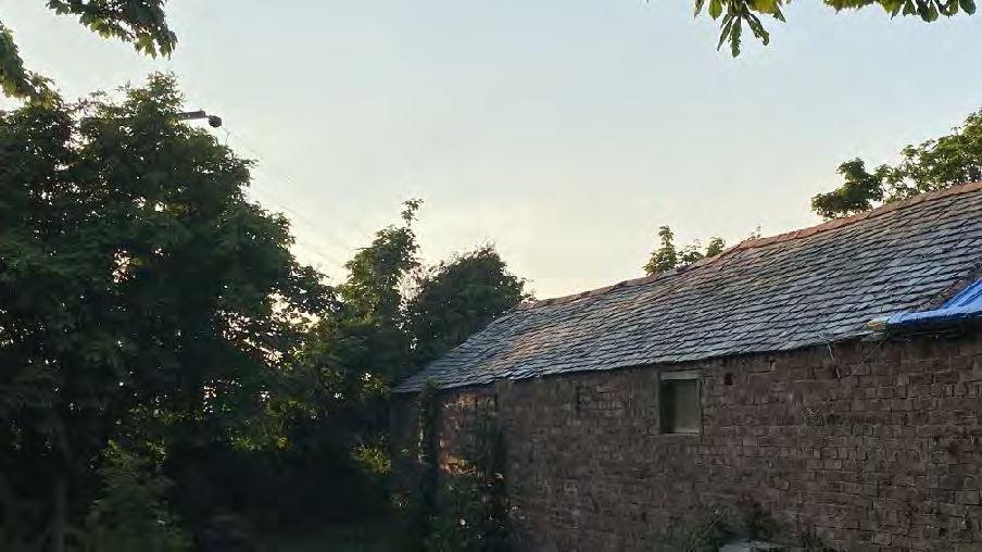 A photograph showing the exterior of a stone outbuilding with a slate roof, surrounded by trees and vegetation.