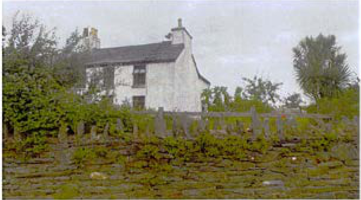 A low-resolution photograph showing a white, two-story detached house surrounded by trees and a wooden fence.
