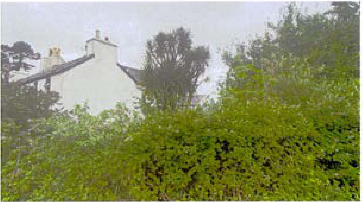 A photograph showing a white residential property partially obscured by dense green trees and bushes in the foreground.
