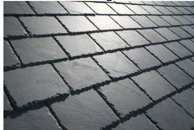 photograph from page 9