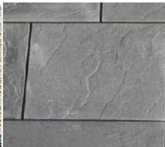 photograph from page 10