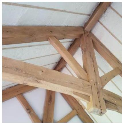 photograph from page 10