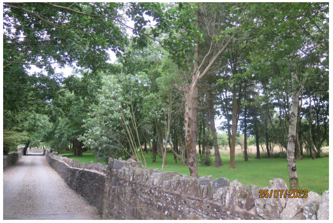 A photograph showing a gravel driveway bordered by a dry stone wall with a wooded area and mature trees behind it.