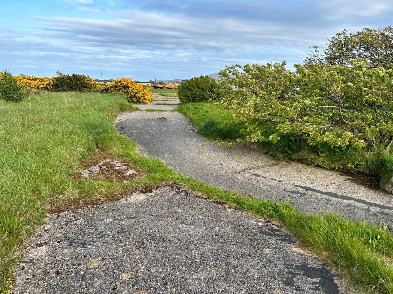 A photograph showing a gravel access track winding through a grassy, rural area with gorse bushes and trees.