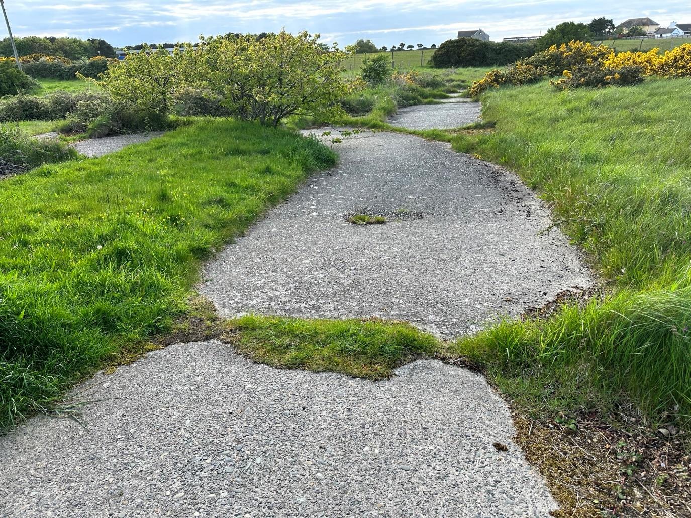 A photograph showing a gravel access track winding through a grassy field with gorse bushes and houses in the background.