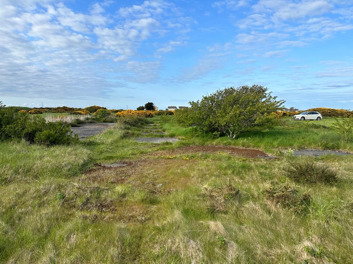 A photograph showing a grassy field with gorse bushes and concrete slabs, representing the site for the proposed service reservoir.