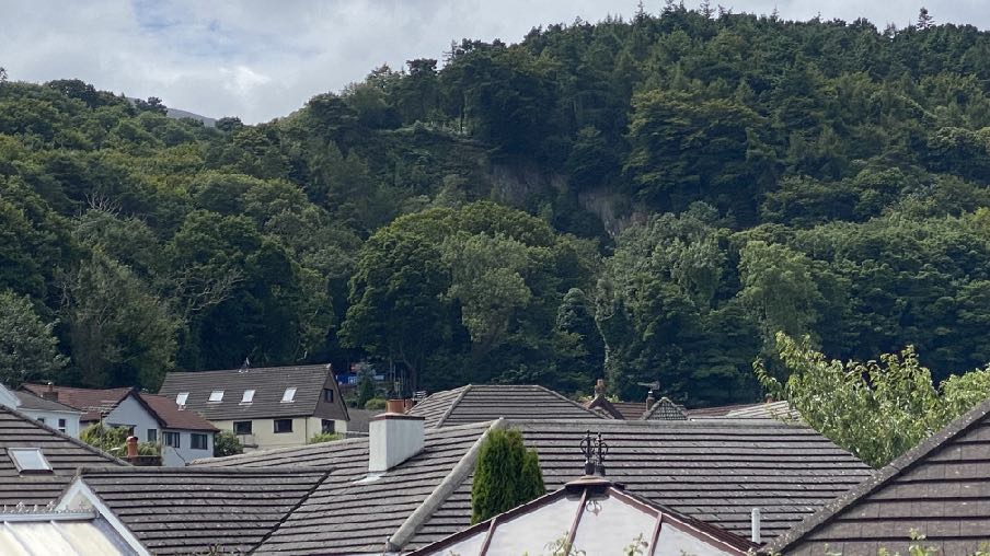 A photograph showing a view over the tiled roofs of residential houses towards a steep, densely wooded hillside under a cloudy sky.