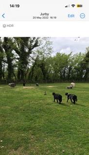 photograph from page 3