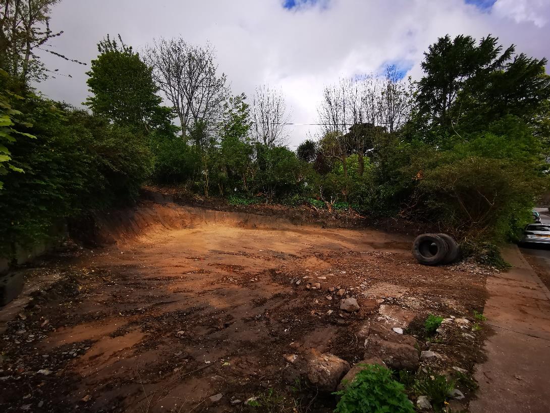 photograph from page 3