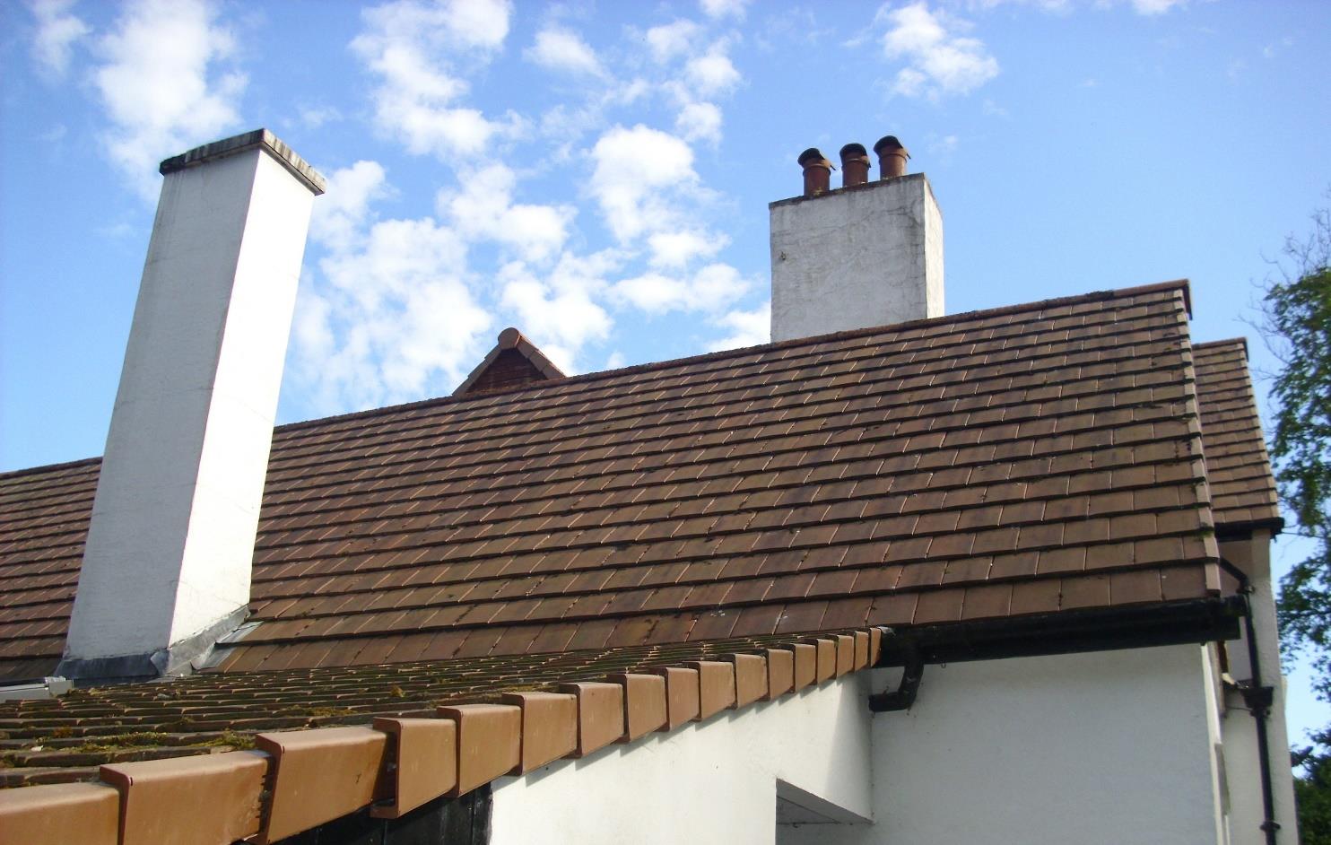 photograph from page 6